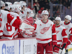 Red Wings Wild Hockey