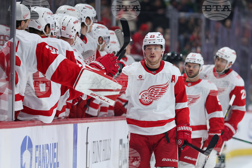 Red Wings Wild Hockey