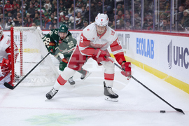 Red Wings Wild Hockey