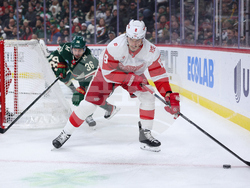 Red Wings Wild Hockey
