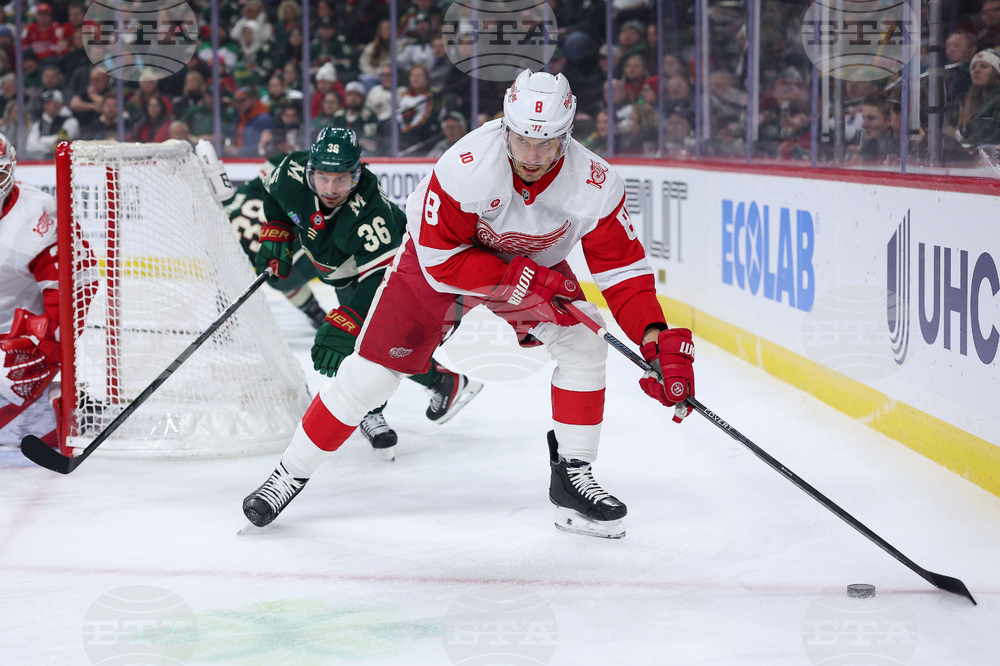 Red Wings Wild Hockey