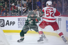 Red Wings Wild Hockey