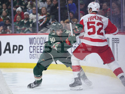 Red Wings Wild Hockey