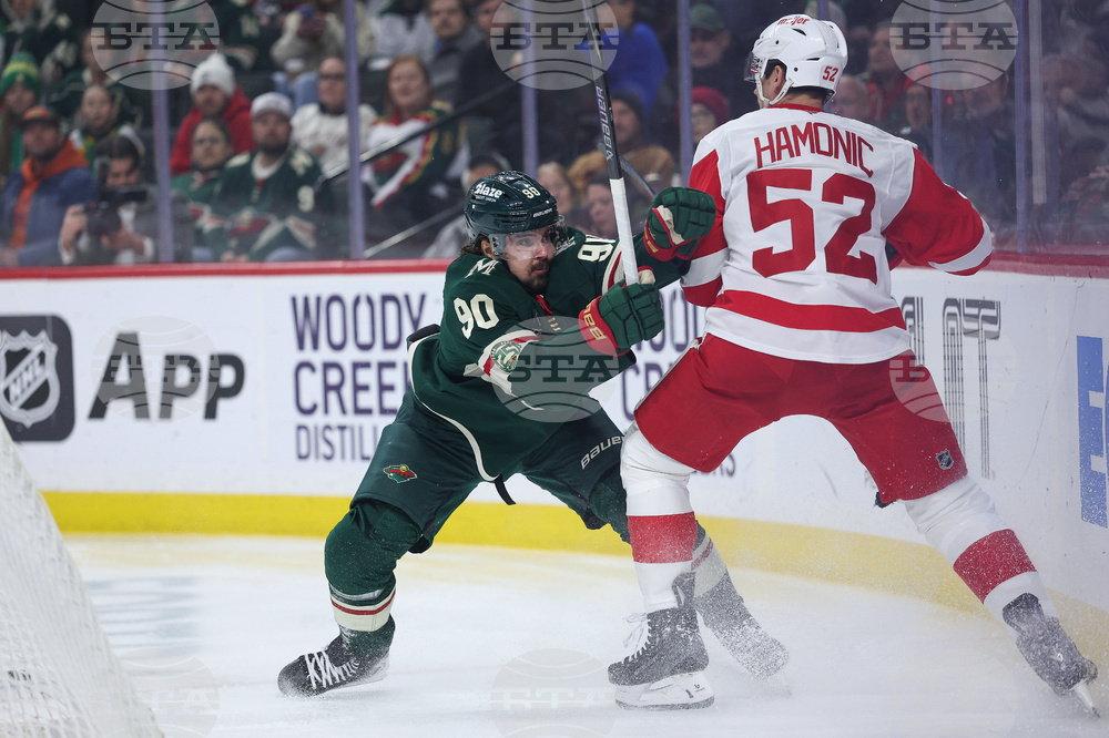 Red Wings Wild Hockey