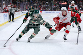 Red Wings Wild Hockey
