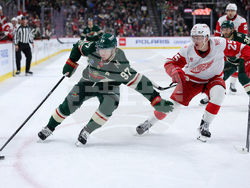 Red Wings Wild Hockey