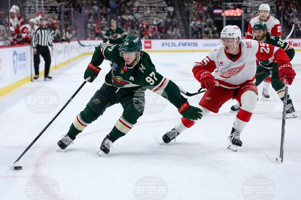 Red Wings Wild Hockey