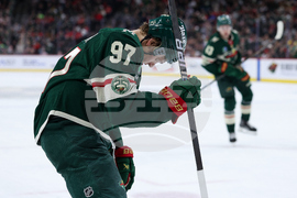 Red Wings Wild Hockey