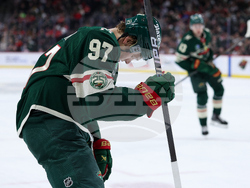 Red Wings Wild Hockey