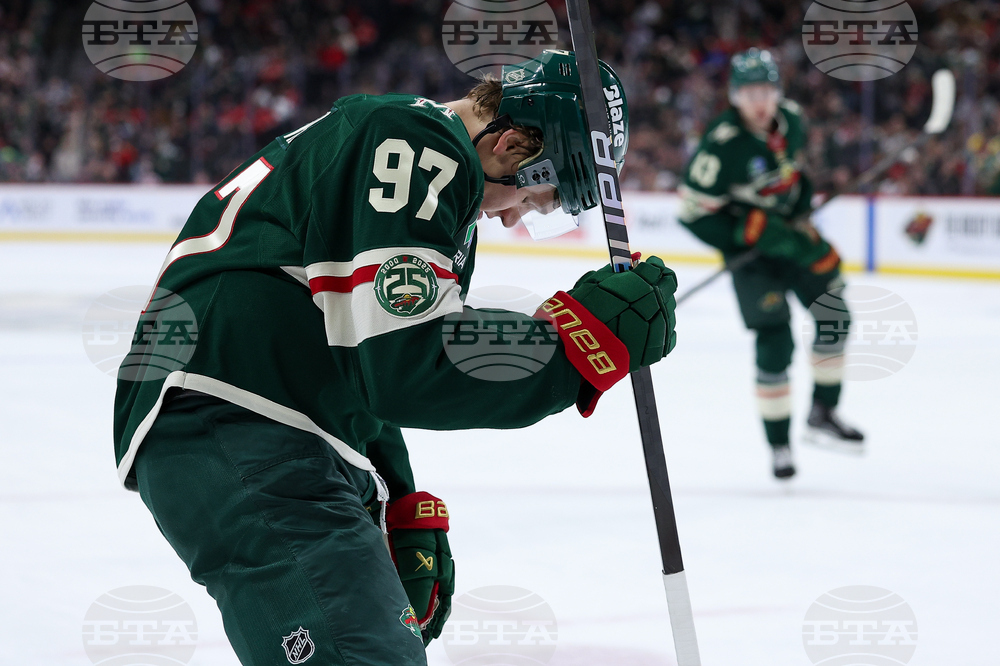 Red Wings Wild Hockey