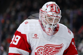 Red Wings Wild Hockey