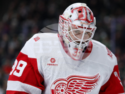 Red Wings Wild Hockey