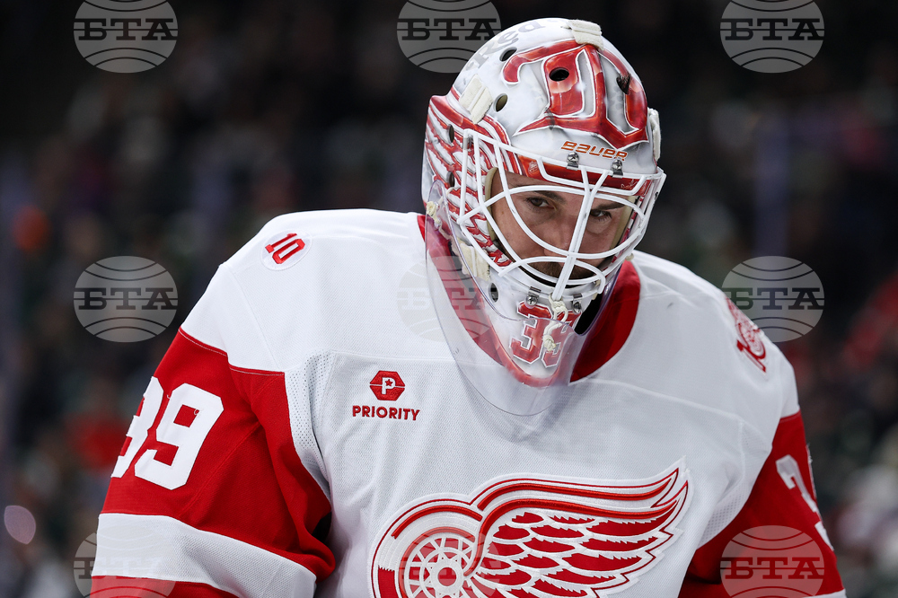 Red Wings Wild Hockey