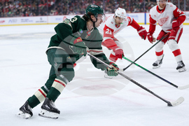 Red Wings Wild Hockey