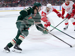 Red Wings Wild Hockey