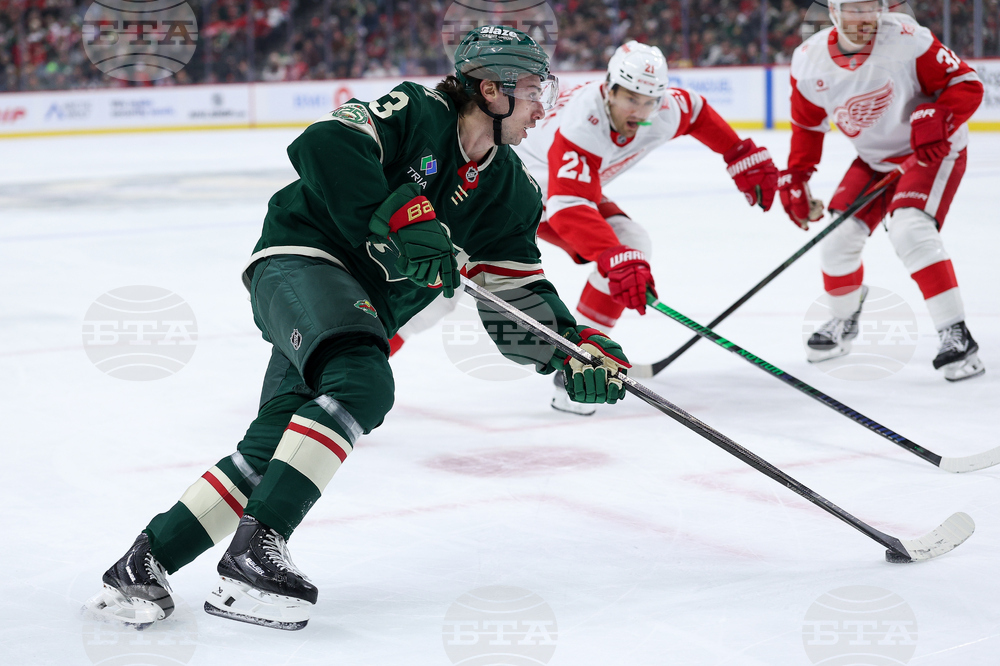 Red Wings Wild Hockey