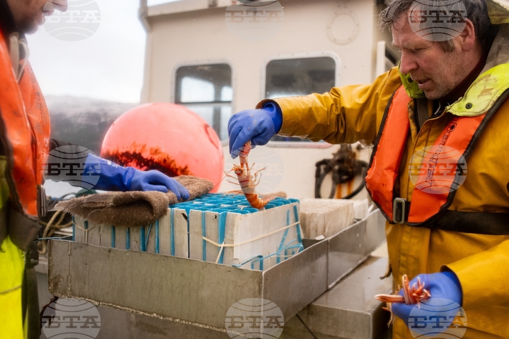 Climate Scotland Trawling