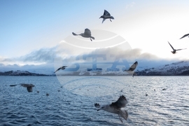 Climate Scotland Trawling