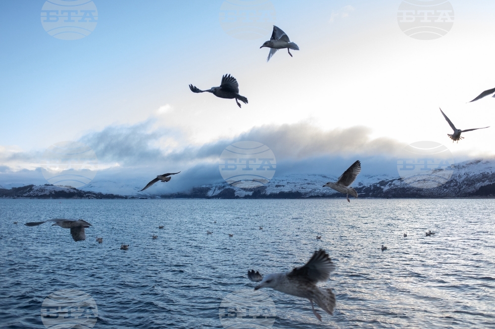 Climate Scotland Trawling