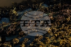 Climate Scotland Trawling