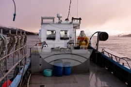 Climate Scotland Trawling