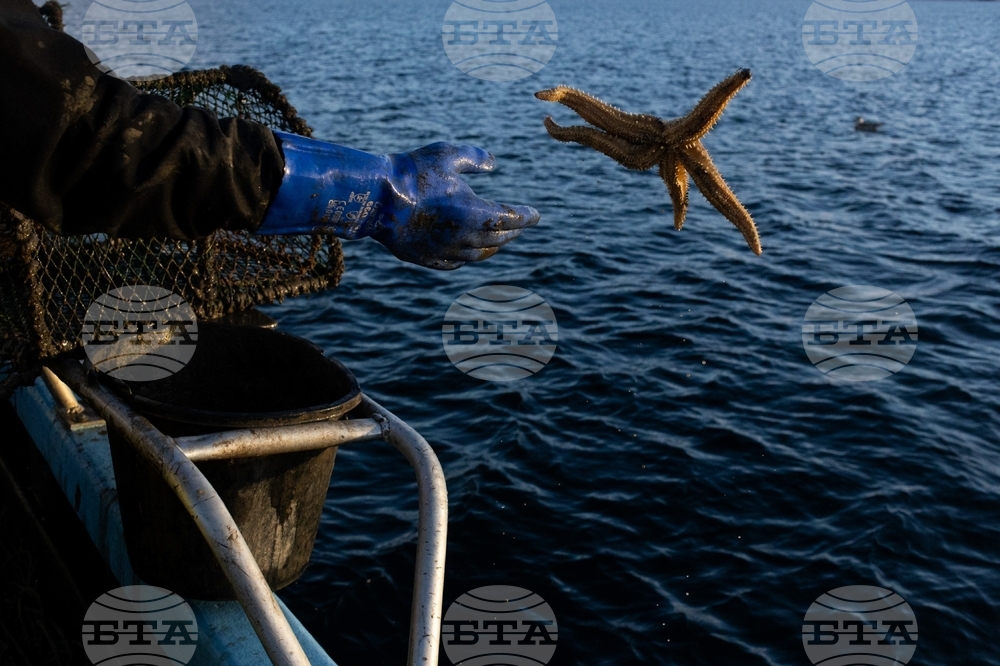 Climate Scotland Trawling
