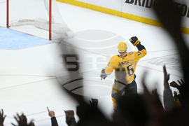 Senators Predators Hockey