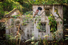 Hong Kong Bird Murals Photo Gallery