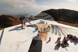 Hong Kong Bird Murals Photo Gallery