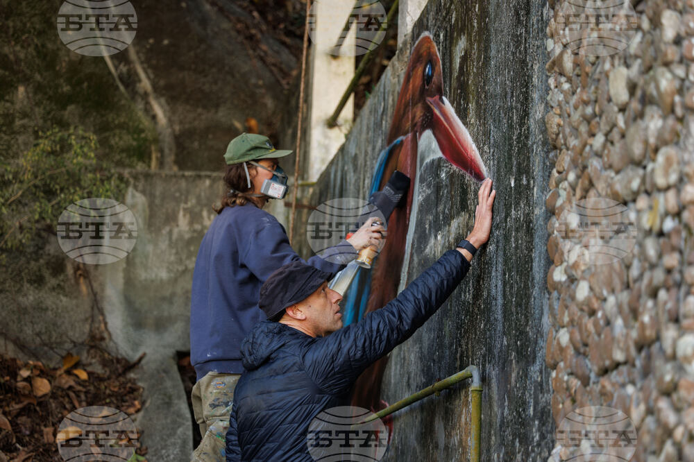Hong Kong Bird Murals Photo Gallery