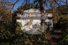 Hong Kong Bird Murals Photo Gallery