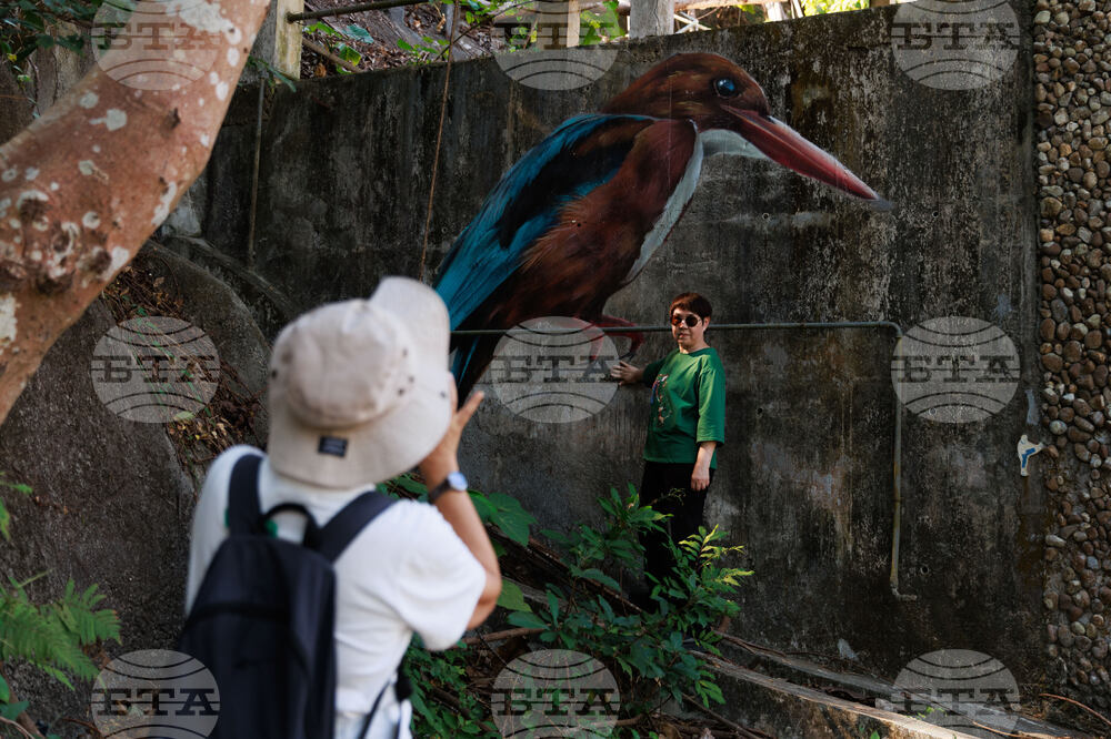 Hong Kong Bird Murals Photo Gallery