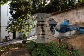 Hong Kong Bird Murals Photo Gallery