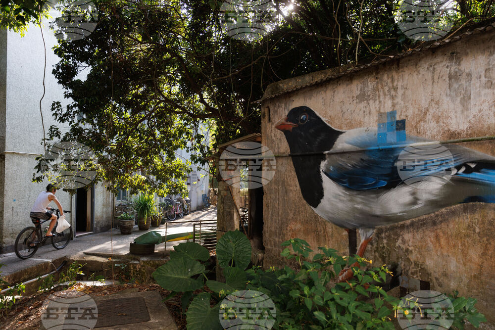 Hong Kong Bird Murals Photo Gallery