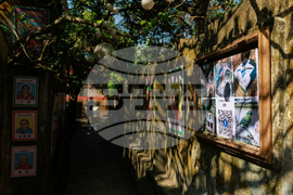 Hong Kong Bird Murals Photo Gallery