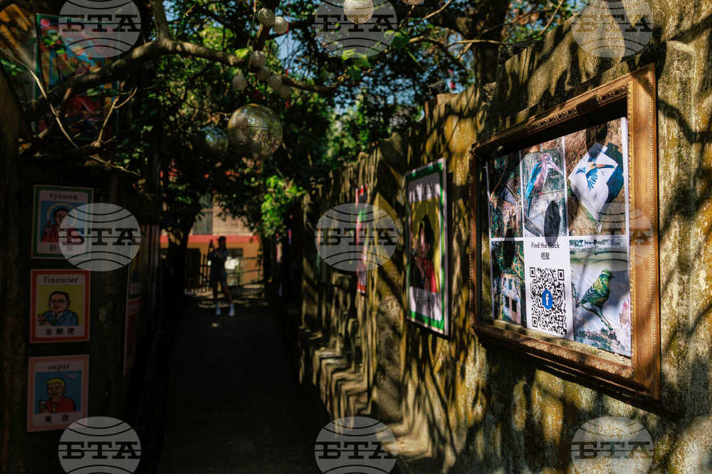 Hong Kong Bird Murals Photo Gallery