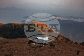 Hong Kong Bird Murals Photo Gallery