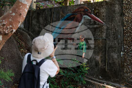 Hong Kong Bird Murals Photo Gallery