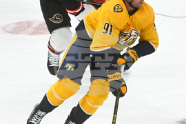 Senators Predators Hockey