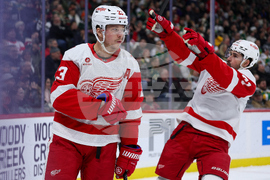 Red Wings Wild Hockey