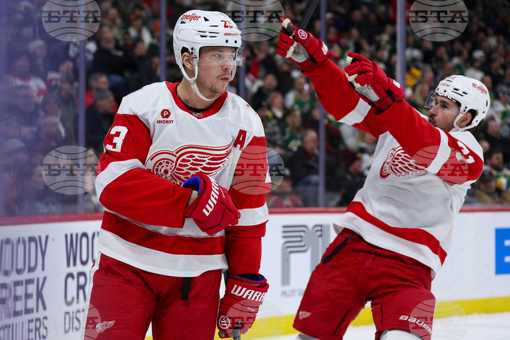 Red Wings Wild Hockey