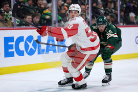 Red Wings Wild Hockey
