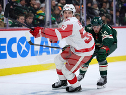 Red Wings Wild Hockey
