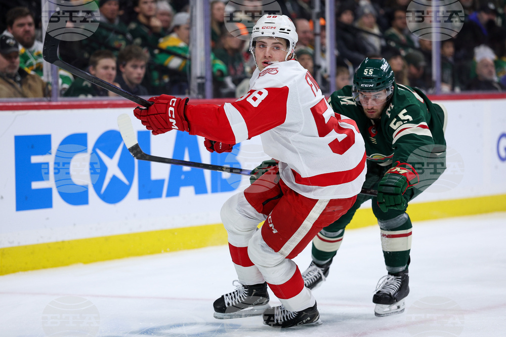 Red Wings Wild Hockey