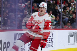 Red Wings Wild Hockey