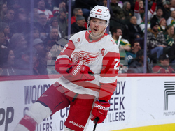 Red Wings Wild Hockey