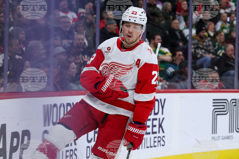 Red Wings Wild Hockey