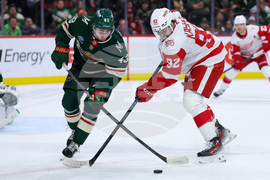 Red Wings Wild Hockey