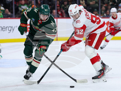 Red Wings Wild Hockey