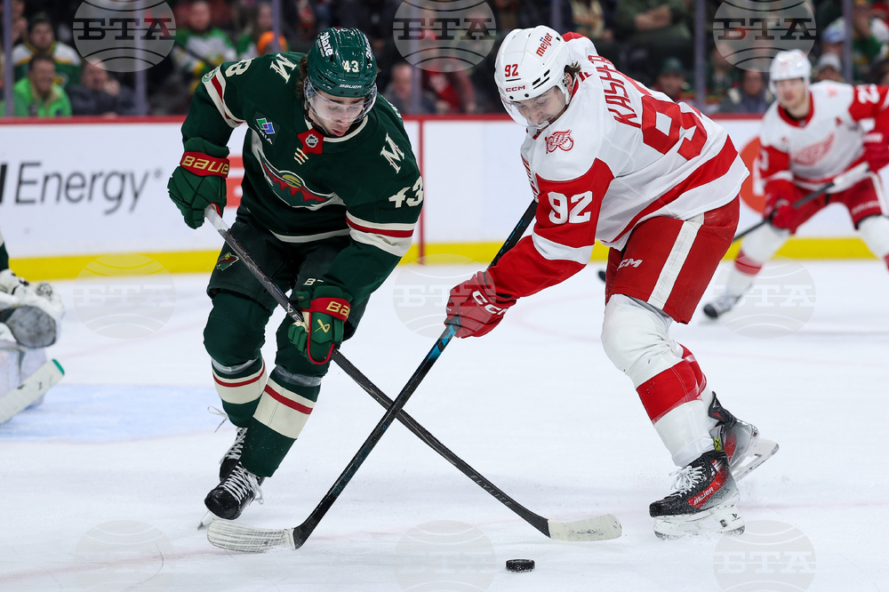 Red Wings Wild Hockey